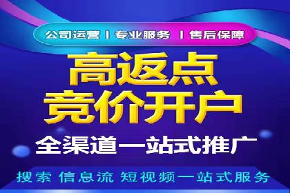 信息流广告代理项目案例分析
